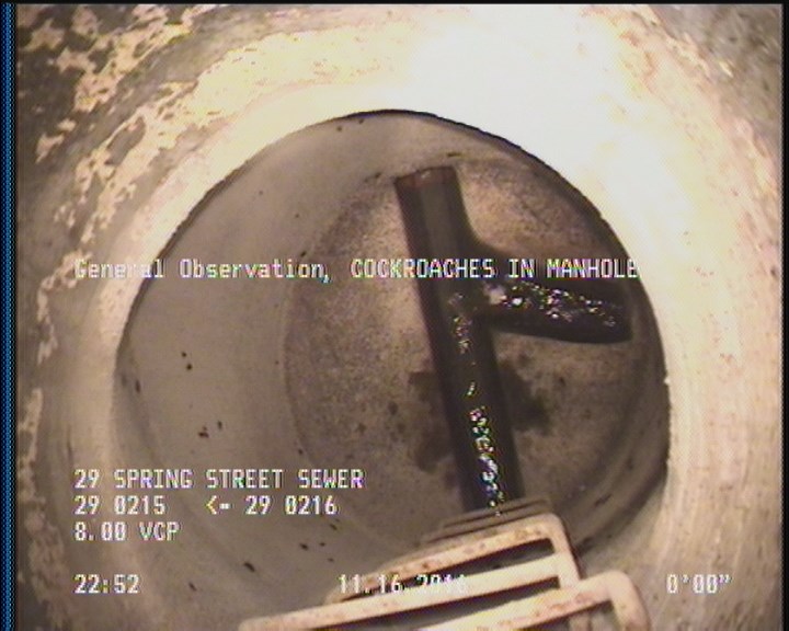 General Observation - COCKROACHES IN MANHOLE