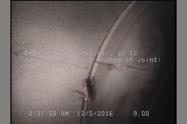 Fracture Longitudinal, at 12 o'clock, within 8 inches of joint: YES, Start
