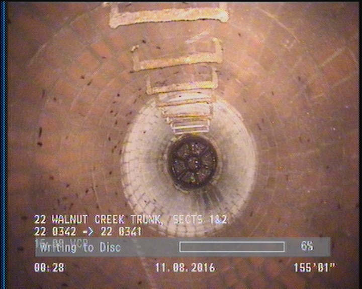 General Observation - COCKROACHES IN MANHOLE
