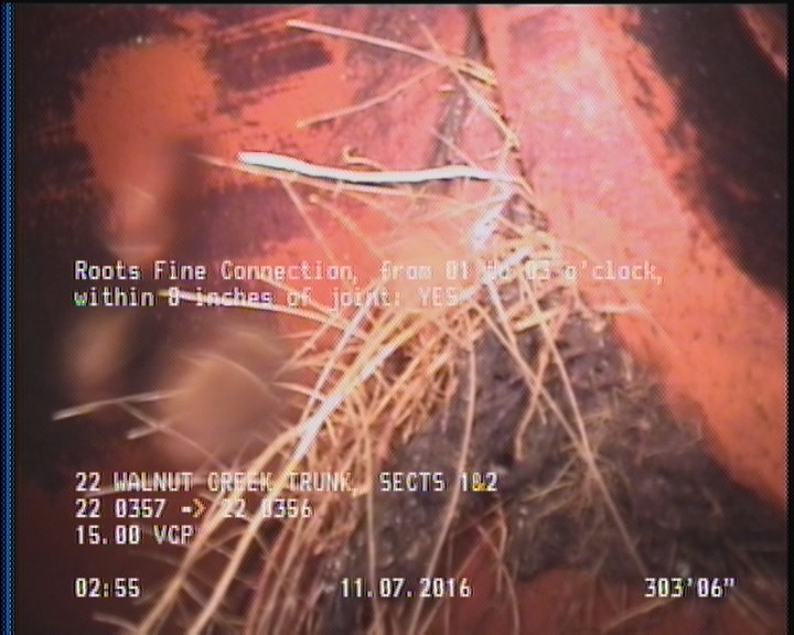 Roots Fine Connection, from 01 to 03 o'clock, within 8 inches of joint: YES