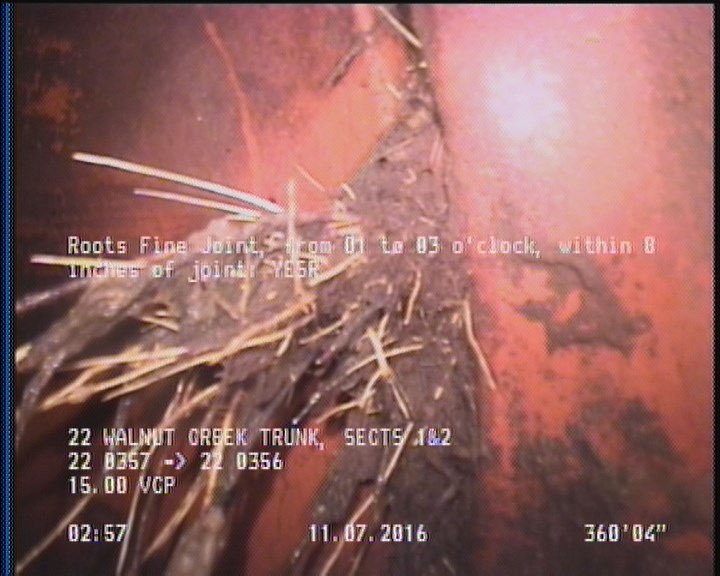 Roots Fine Joint, from 01 to 03 o'clock, within 8 inches of joint: YESR