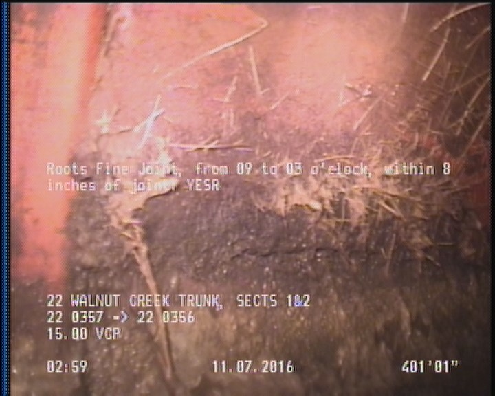 Roots Fine Joint, from 09 to 03 o'clock, within 8 inches of joint: YESR