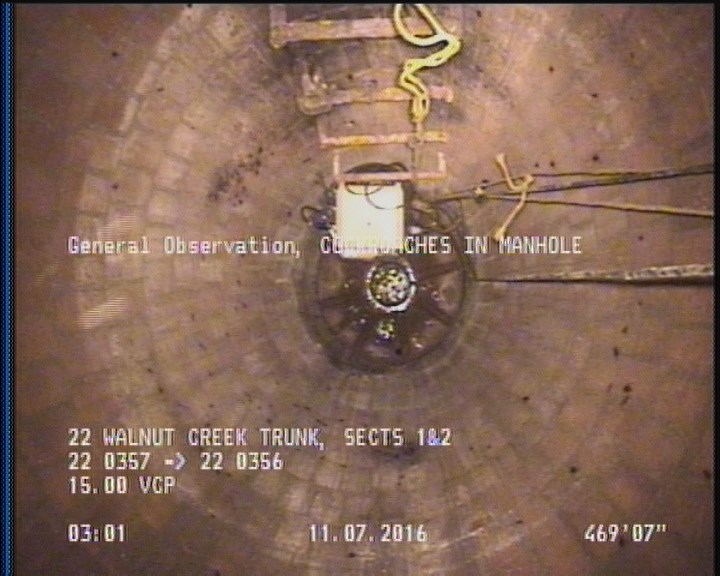 General Observation - COCKROACHES IN MANHOLE