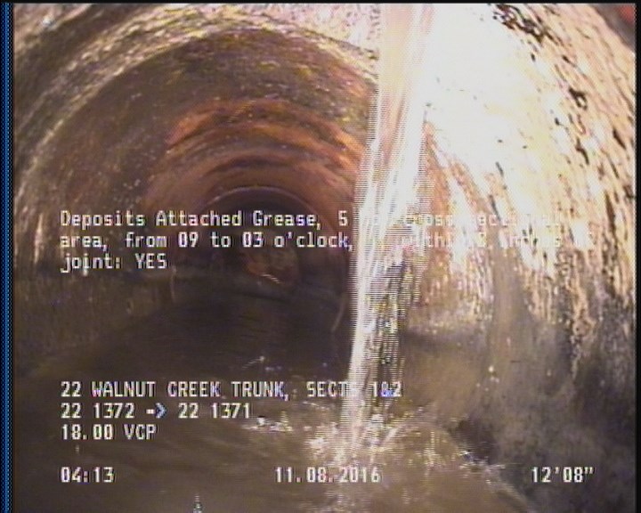 Deposits Attached Grease, 5 %of cross sectional area, from 09 to 03 o'clock, , within 8 inches of joint: YES