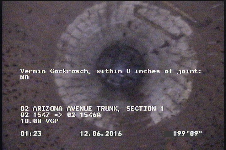 Vermin Cockroach, within 8 inches of joint: NO