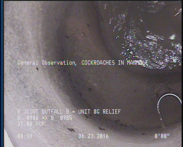 General Observation - COCKROACHES IN MANHOLE