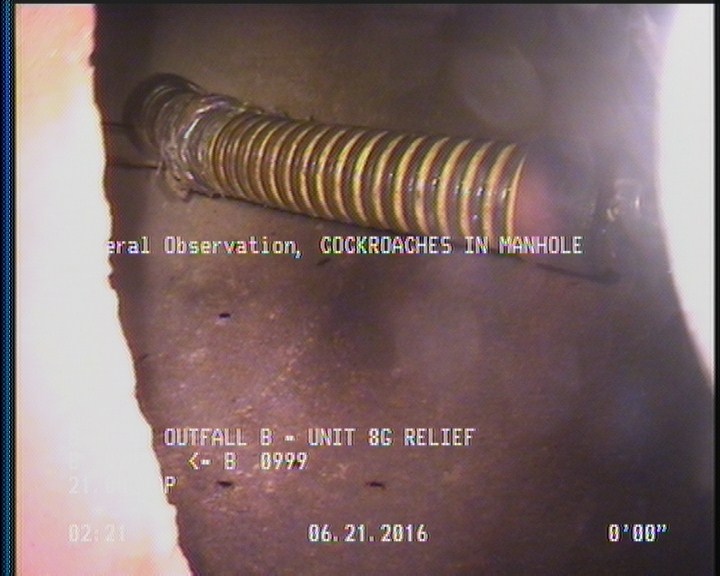 General Observation - COCKROACHES IN MANHOLE