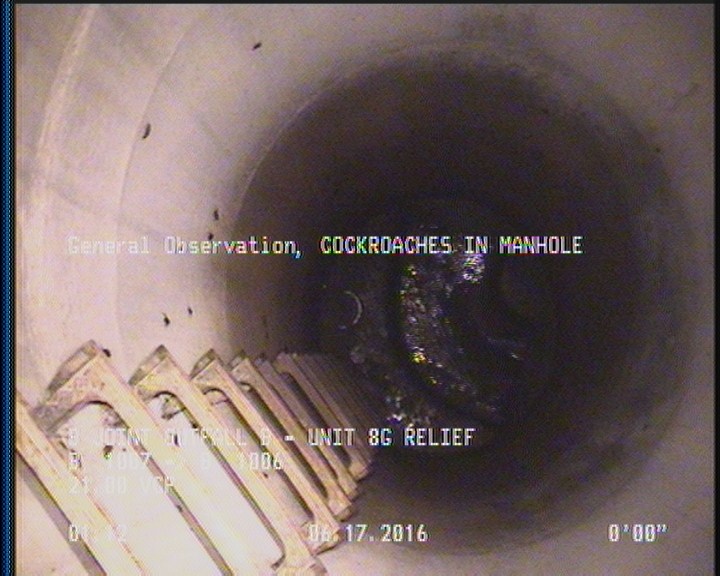 General Observation - COCKROACHES IN MANHOLE