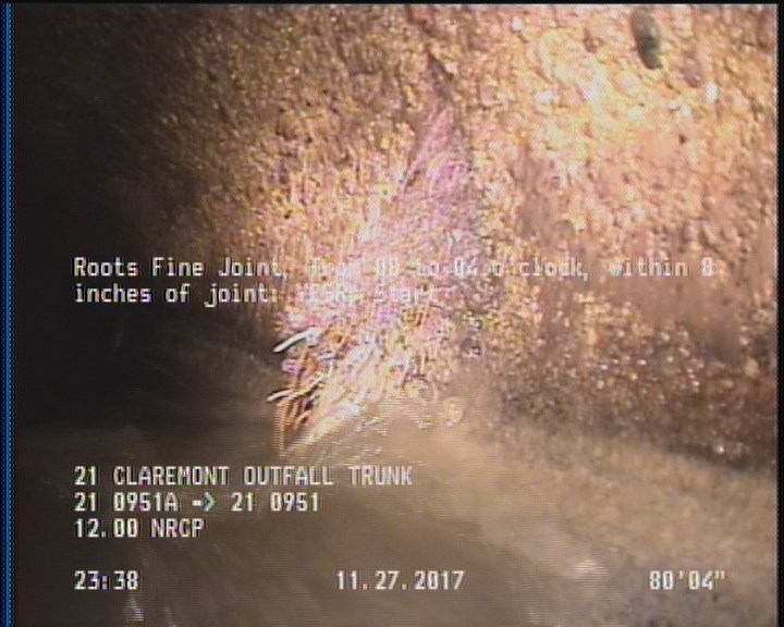 Roots Fine Joint, from 08 to 04 o'clock, within 8 inches of joint: YESR, Start