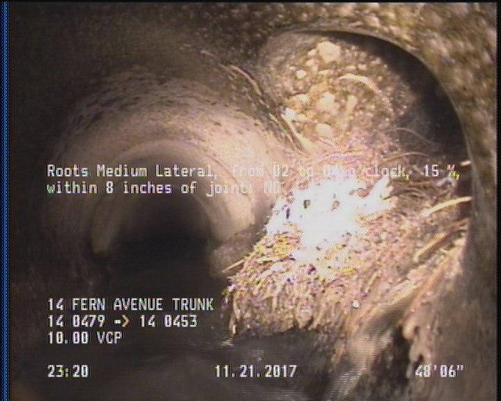 Roots Medium Lateral, from 02 to 04 o'clock, 15 %, within 8 inches of joint: NO