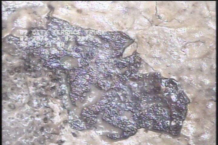 General Observation - GOOD CONDITION CONCRETE