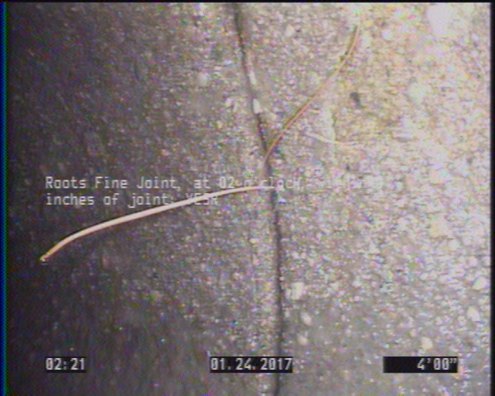 Roots Fine Joint, at 02 o'clock, within 8 inches of joint: YESR