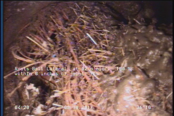 Roots Medium Lateral, at 02 o'clock, 15 %, within 8 inches of joint: YES