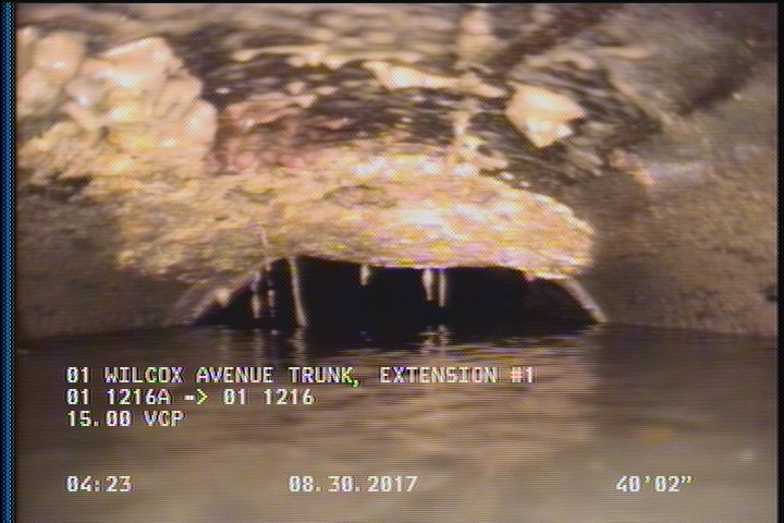 Deposits Attached Grease, 20 %of cross sectional area, from 11 to 01 o'clock, , within 8 inches of joint: YES