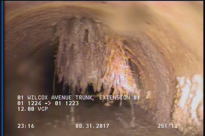 Roots Ball Lateral, at 12 o'clock, 20 %, within 8 inches of joint: YES