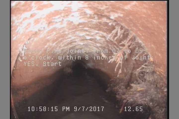 Roots Fine Joint, from 07 to 05 o'clock, within 8 inches of joint: YES, Start
