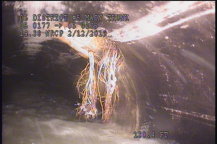 Roots Fine Barrell, from 02 to 04 o'clock, within 8 inches of joint: YES