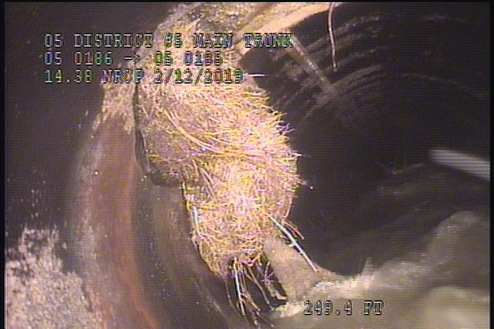 Roots Medium Lateral, from 08 to 11 o'clock, 20 %, within 8 inches of joint: YES - BEFORE
