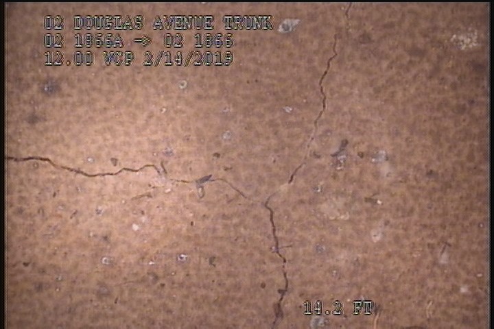 Fracture Multiple, from 08 to 04 o'clock, within 8 inches of joint: YES - SL