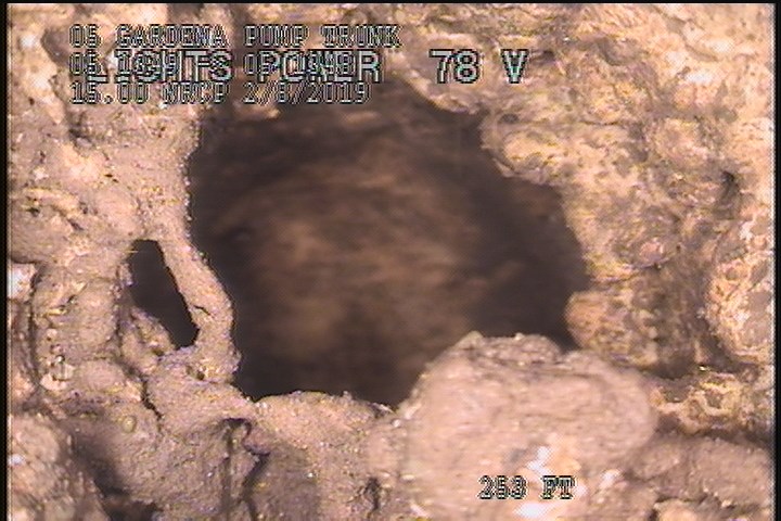 Tap Factory Made Capped, at 12 o'clock, -, within 8 inches of joint: YES, 6" - Capped POSSIBLE CONN SURROUNDED BY ROOTS