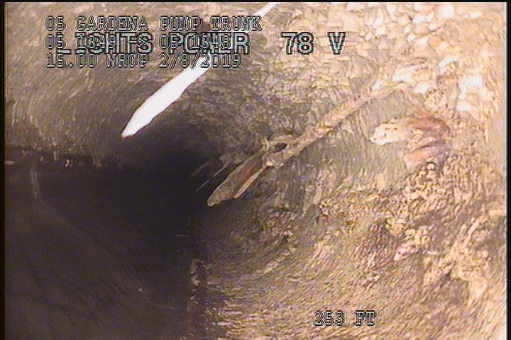 Roots Tap Barrell, at 12 o'clock, 5 %, within 8 inches of joint: YES, Start - 1" TAP ROOT