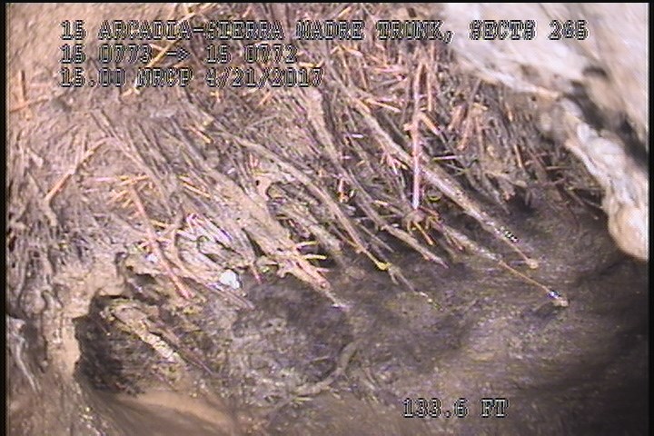 Tap Factory Made Defective, at 10 o'clock, -, within 8 inches of joint: YES, 6" - Active90% ROOTS