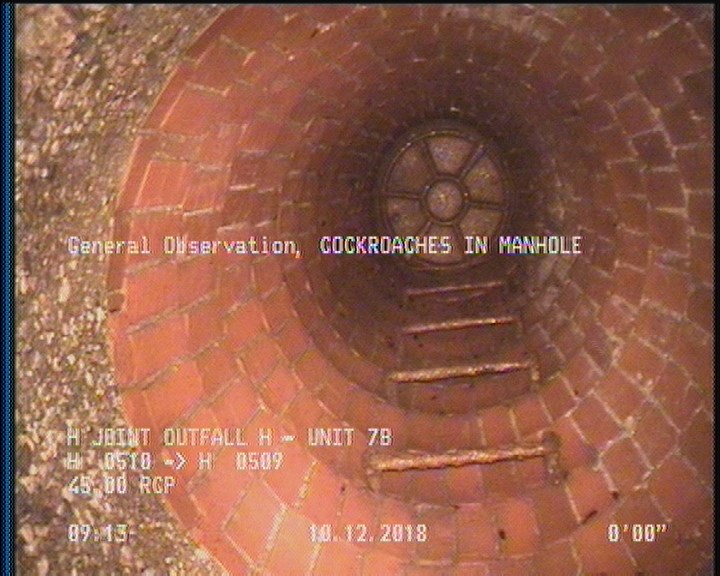 General Observation - COCKROACHES IN MANHOLE