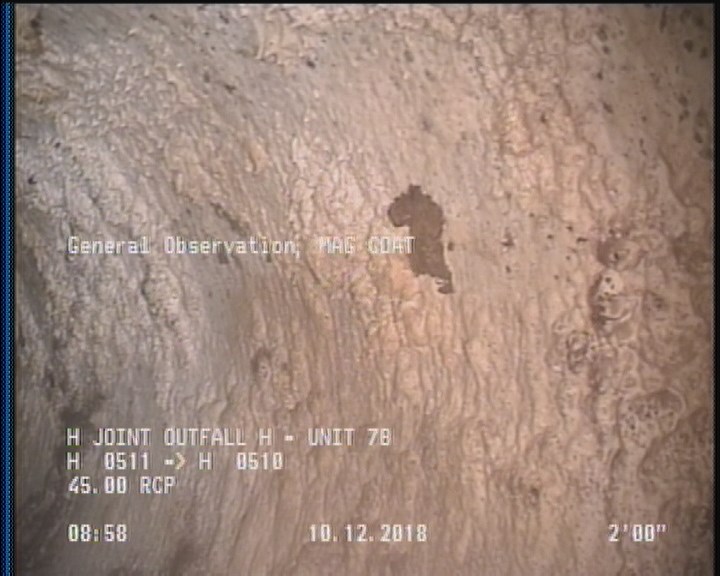 General Observation - MAG COAT