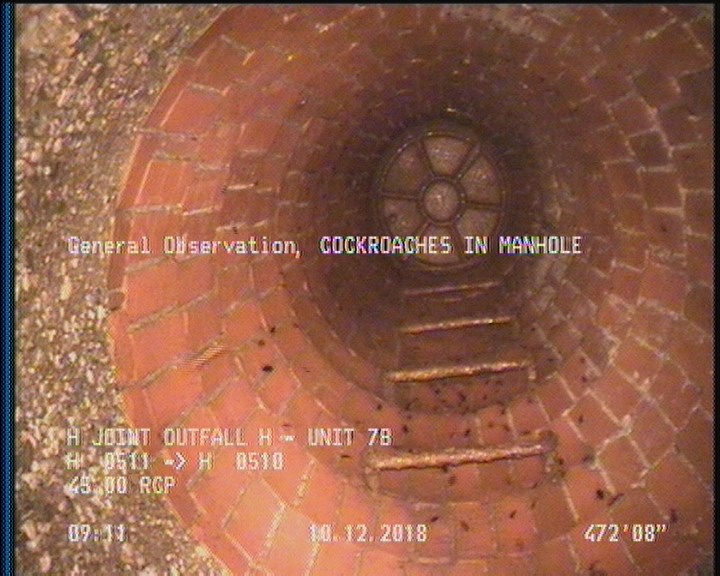 General Observation - COCKROACHES IN MANHOLE