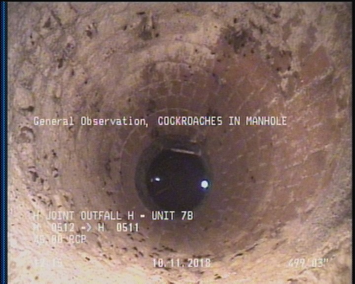 General Observation - COCKROACHES IN MANHOLE
