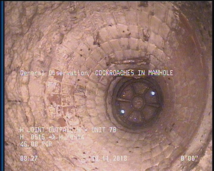 General Observation - COCKROACHES IN MANHOLE