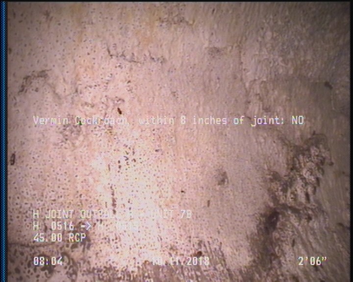 Vermin Cockroach, within 8 inches of joint: NO