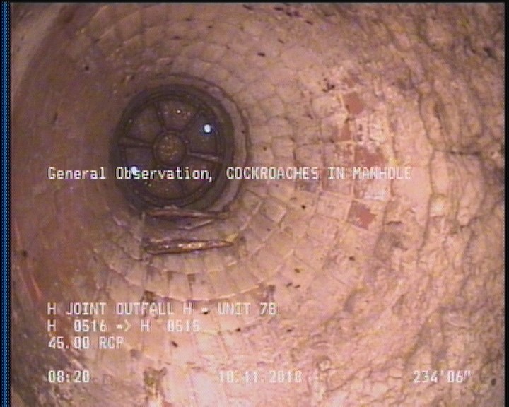 General Observation - COCKROACHES IN MANHOLE