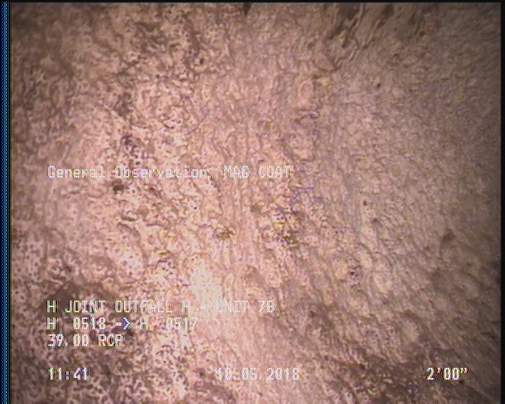 General Observation - MAG COAT