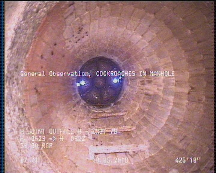 General Observation - COCKROACHES IN MANHOLE