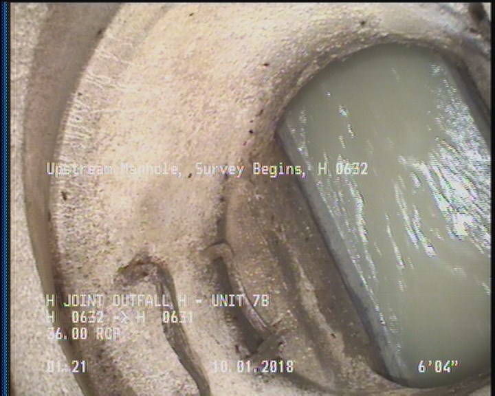 General Observation - COCKROACHES IN MANHOLE