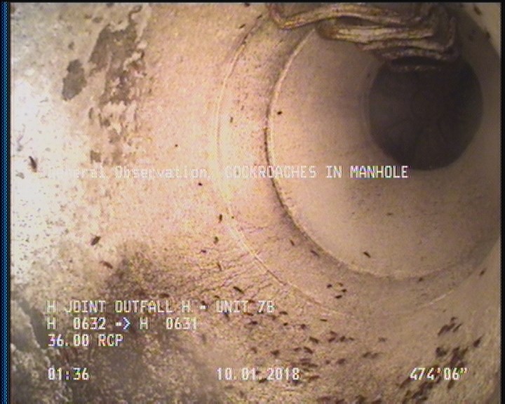 Deposits Attached Grease, 5 %of cross sectional area, from 03 to 09 o'clock, , within 8 inches of joint: YES