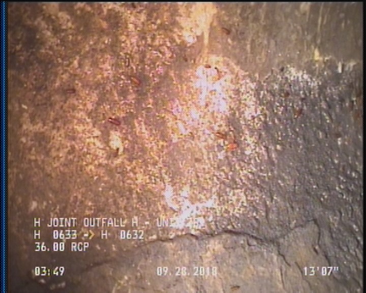 Surface Aggregate Projecting, from 09 to 03 o'clock, within 8 inches of joint: YES, Start