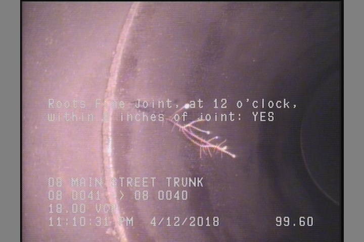 Roots Fine Joint, at 12 o'clock, within 8 inches of joint: YES