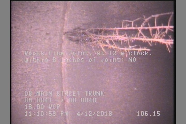 Roots Fine Joint, at 12 o'clock, within 8 inches of joint: NO