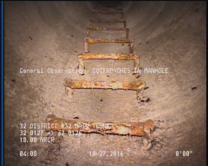 General Observation - COCKROACHES IN MANHOLE