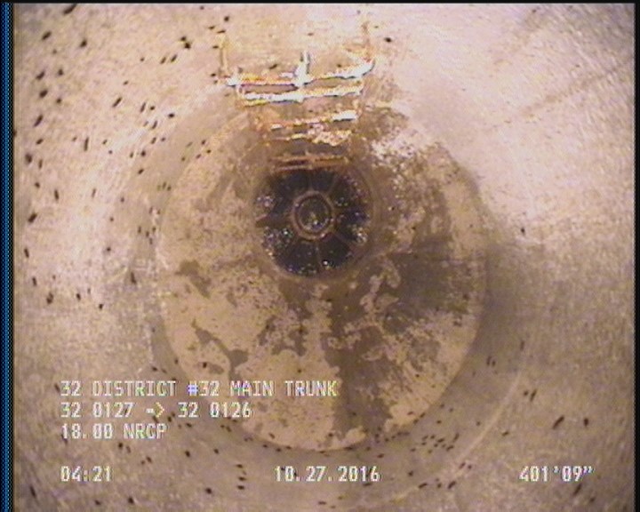 General Observation - COCKROACHES IN MANHOLE