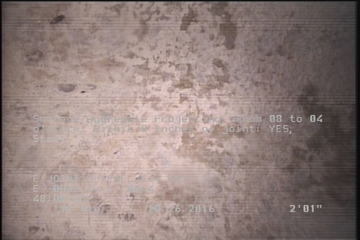General Observation - ROACHES IN MH