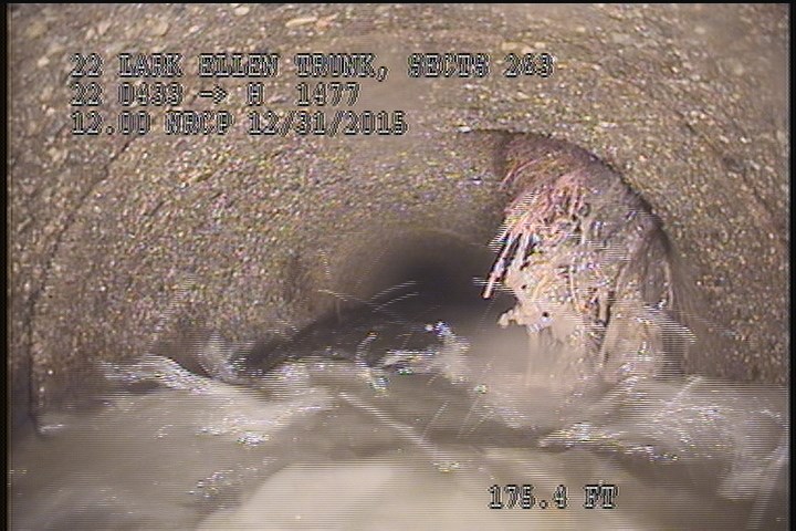 Roots Medium Lateral, from 01 to 04 o'clock, 15 %, within 8 inches of joint: YES