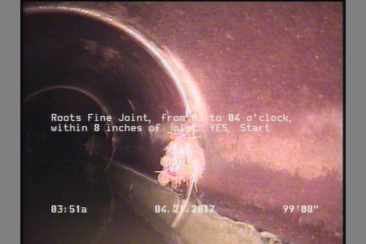 Roots Fine Joint, from 03 to 04 o'clock, within 8 inches of joint: YES, Start