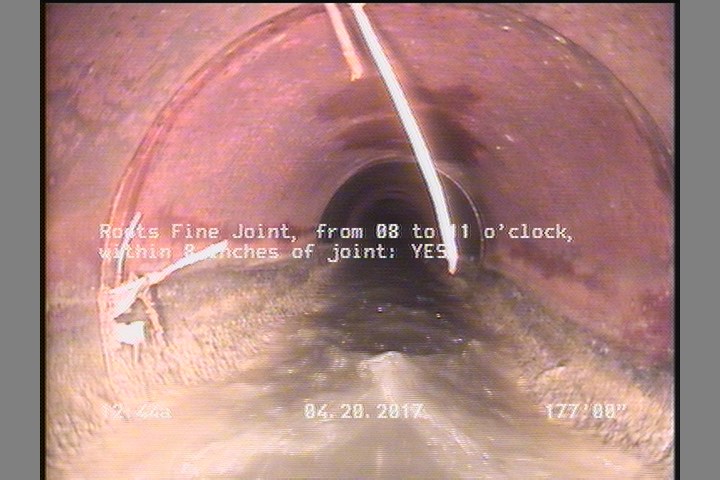Roots Fine Joint, from 08 to 11 o'clock, within 8 inches of joint: YES