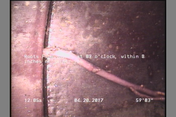 Roots Fine Joint, at 09 o'clock, within 8 inches of joint: YES
