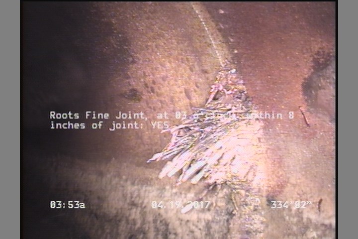 Roots Fine Joint, at 03 o'clock, within 8 inches of joint: YES