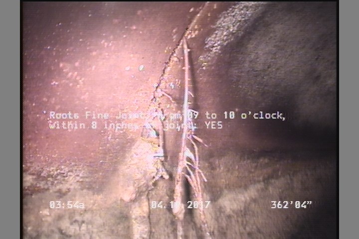 Roots Fine Joint, from 09 to 10 o'clock, within 8 inches of joint: YES