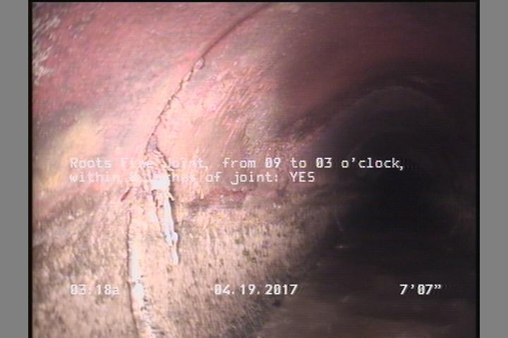 Roots Fine Joint, from 09 to 03 o'clock, within 8 inches of joint: YES